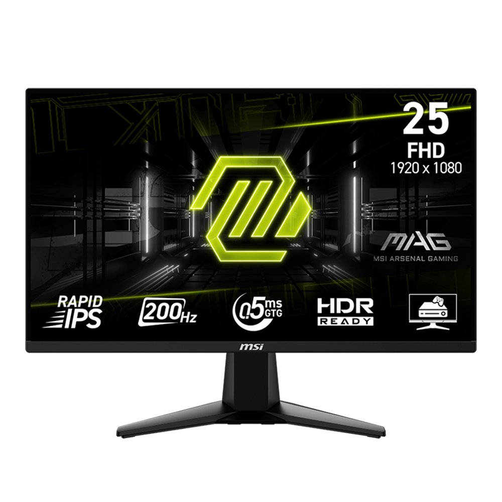 25″ MSI G255F E20 Gaming IPS/200Hz/FHD LED Monitor